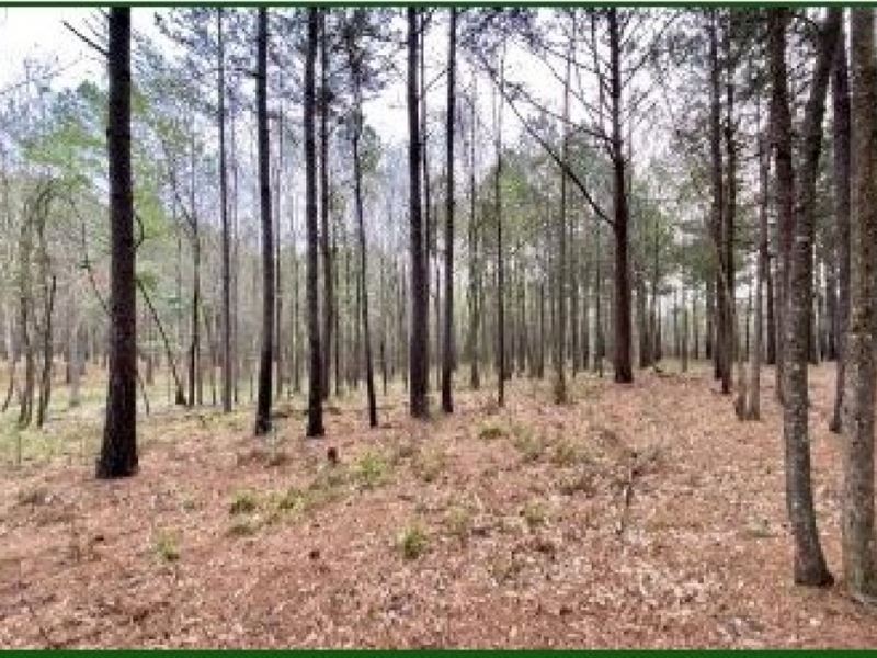 5 Acres in Lincoln County in Bogue : Bogue Chitto : Lincoln County : Mississippi