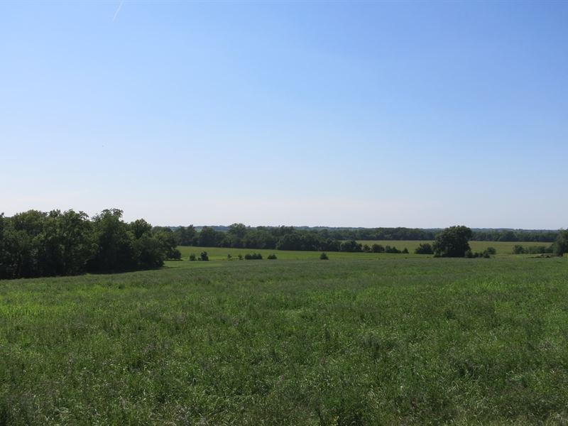 Harrison County Land NW Missouri, Farm for Sale in Missouri, 235409