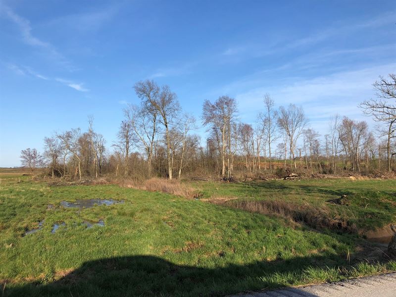 21 Acre Hobby Farm Remodeled Home, Farm for Sale in Kentucky, 235501