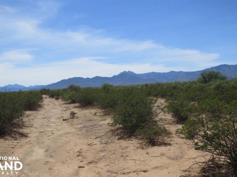 San Simon 160 Acres Orchards, Pecan, Farm for Sale in Arizona, 235520