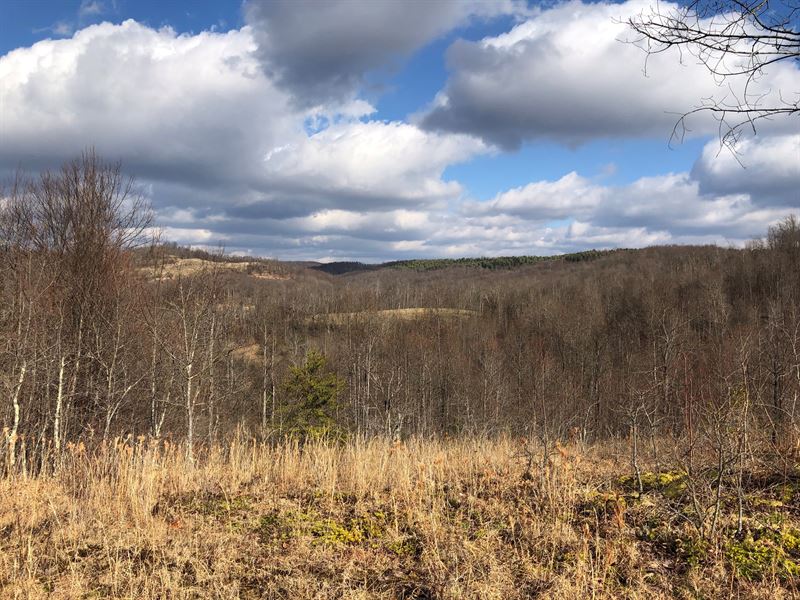 Dolan Property, Farm for Sale in West Virginia, 235601 FARMFLIP