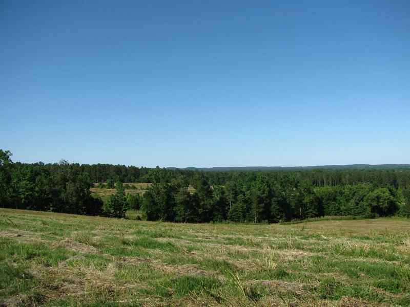 Land Tennessee, Duck Ponds, Creek, Farm for Sale in Tennessee, 235647