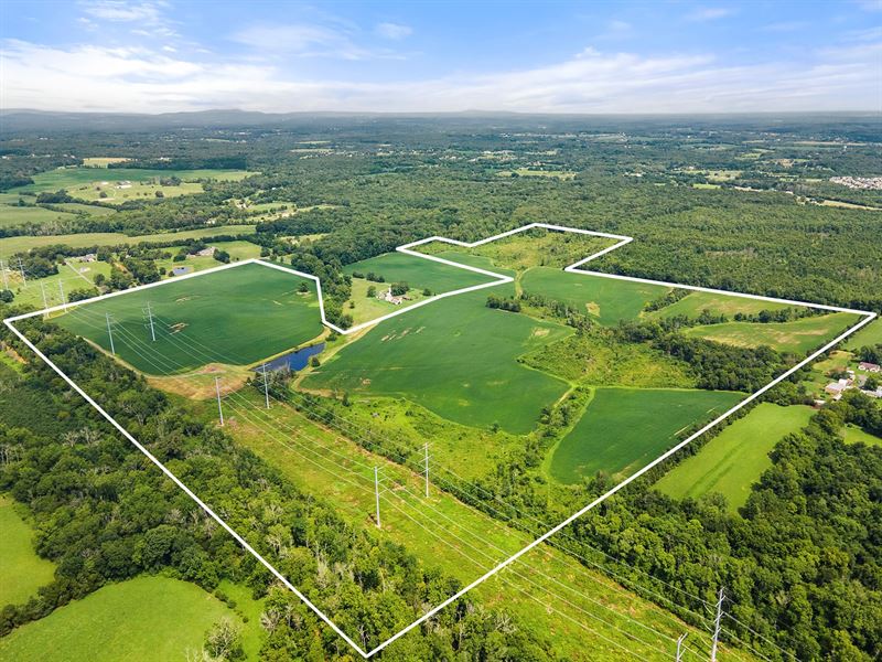 Farmland/Hunting Property Remington, Farm for Sale in Virginia, 235661