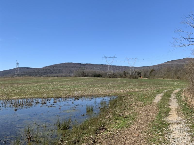 Mud Creek Bottoms, Farm for Sale in Alabama, 235675 FARMFLIP