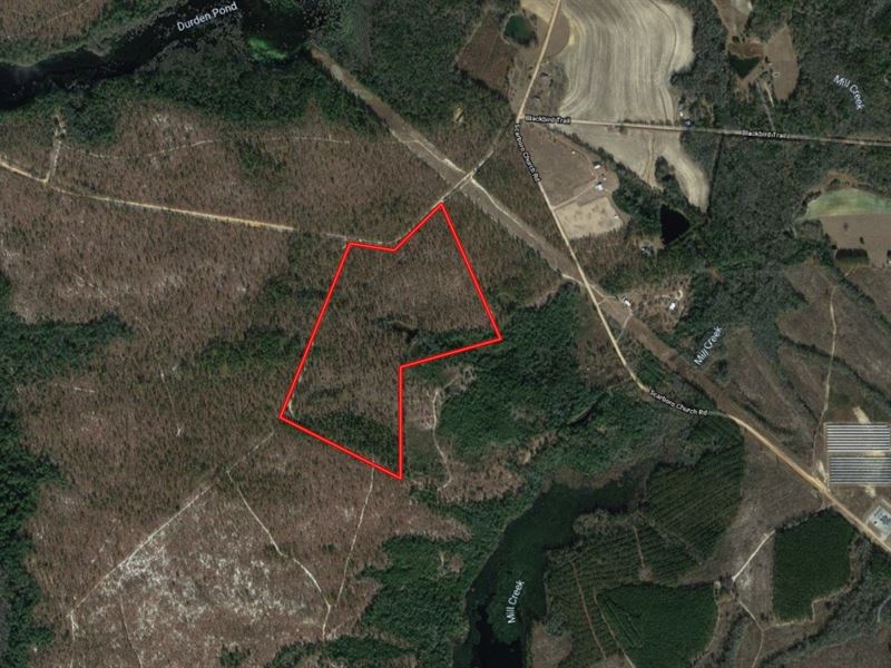 58 Acres for Sale in Emanuel County, Farm for Sale in 235780 FARMFLIP