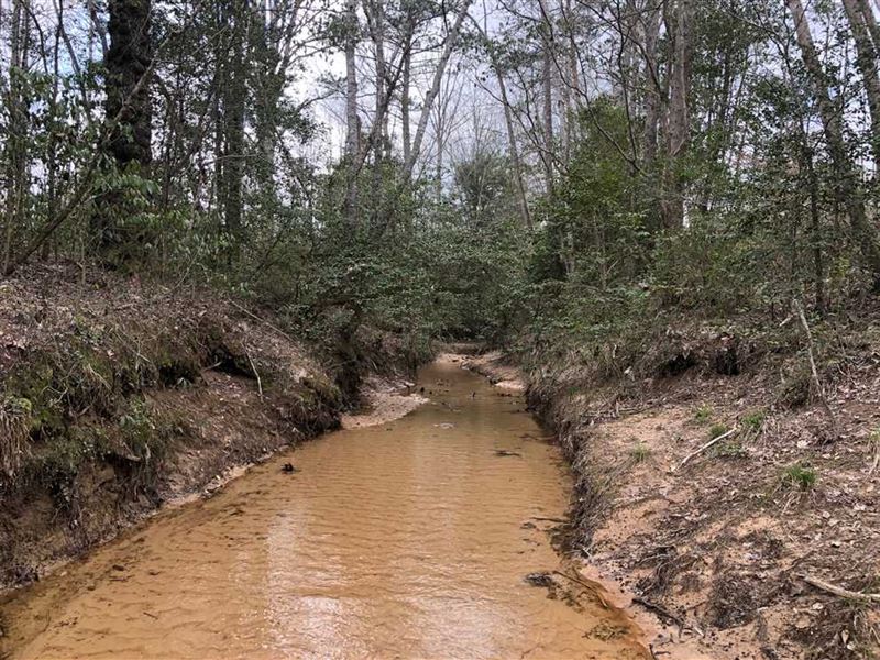 260 Acres Land for Sale Winston Co, Farm for Sale in Alabama, 235818