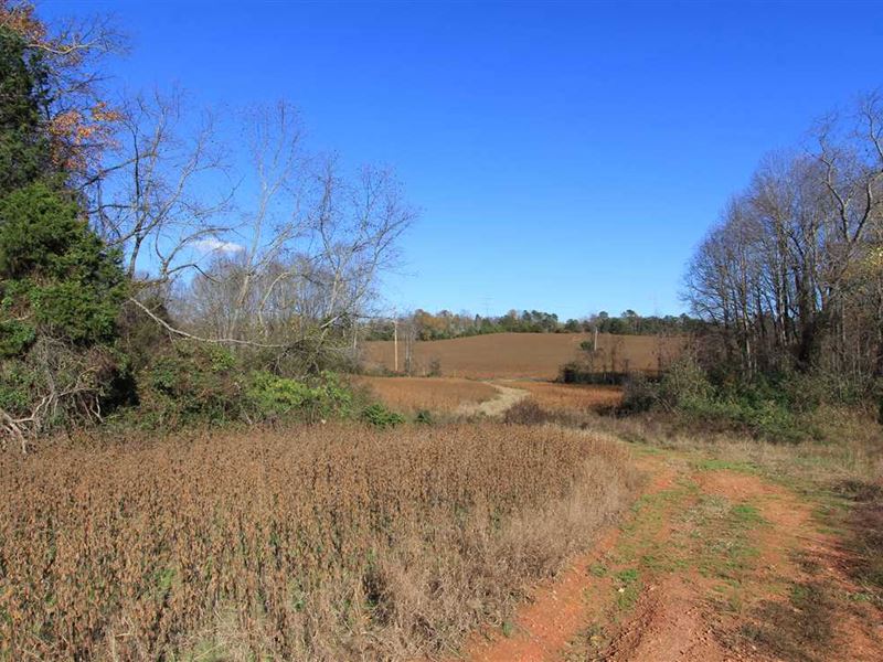 39.4 Acres in Olin, Iredell Cou Farm for Sale in Olin, Iredell County
