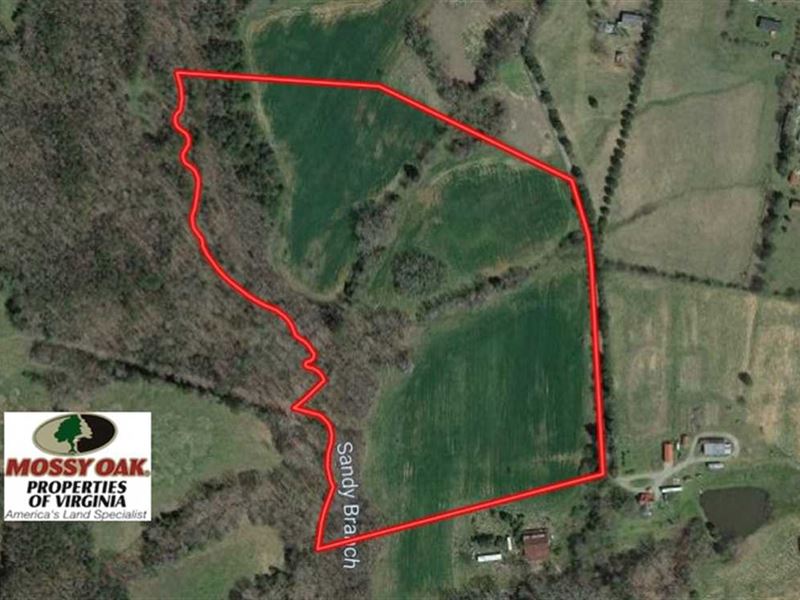 20 Ac of Hunting and Farm Land : Lawrenceville : Brunswick County : Virginia