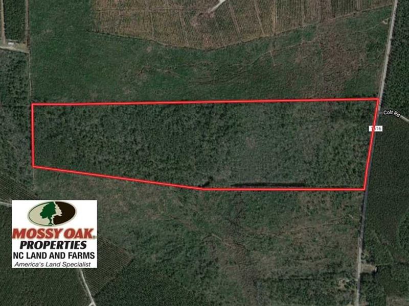 92 Acres of Hunting Land for Sale, Farm for Sale in North Carolina