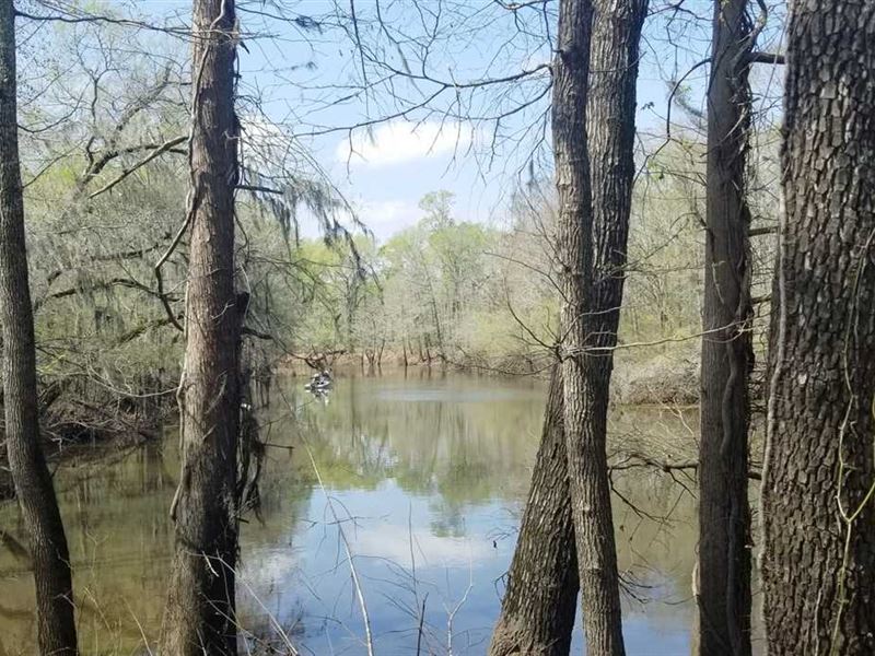 Saline Bayou Land and Camp, Winn, Farm for Sale in Louisiana, 236113