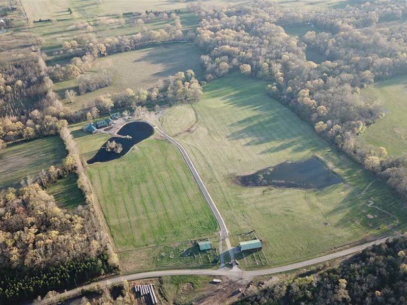 50Acre Farm with 2 Homes in Faulk, Farm for Sale in Arkansas, 236219