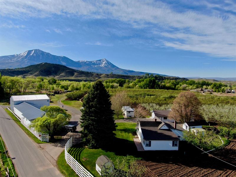 Paonia CO Orchard Farm Market Farm for Sale in Paonia, Delta County