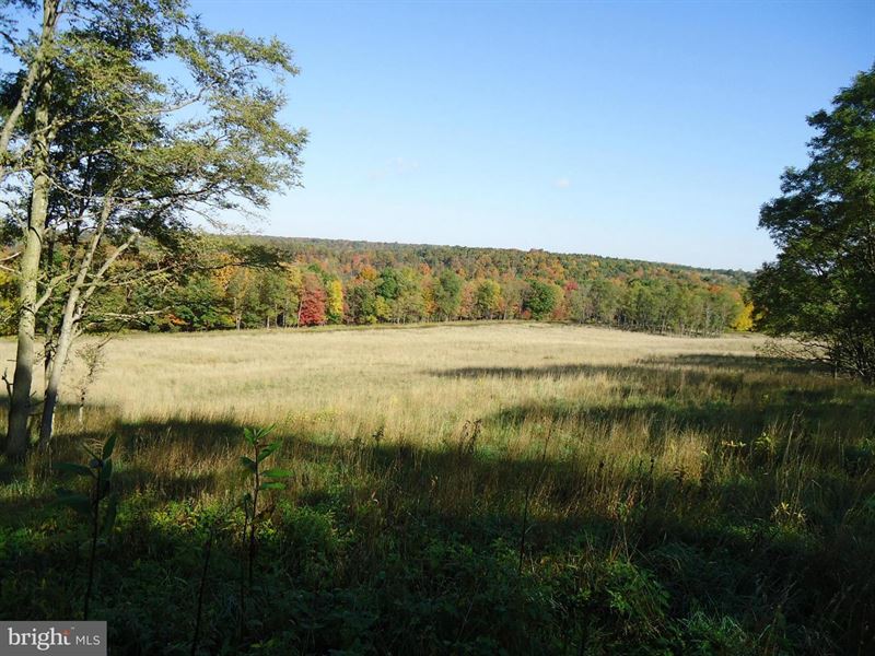 Secluded Land Farm for Sale in Mount Storm, Grant County, West