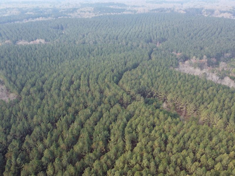 Spring Creek Tract : Rome : Floyd County : Georgia