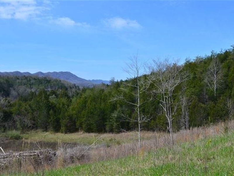 23 Acres Land in Sneedville, TN, Farm for Sale in Tennessee, 236644