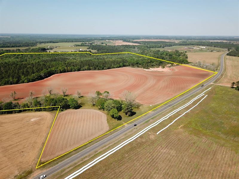 150 Ac Hartford/Geneva Alabama, Farm for Sale in Alabama, 236649