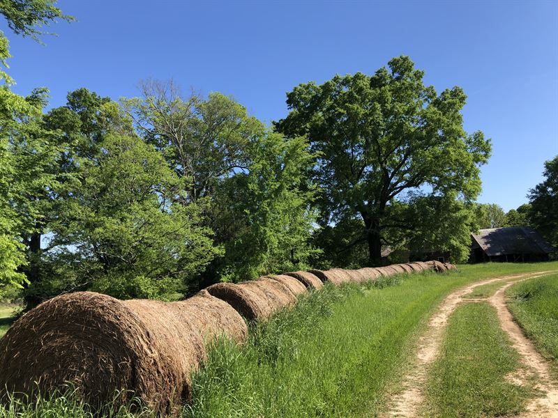 Riverfront Farm Mature Hardwoods Farm for Sale in Butler, Taylor