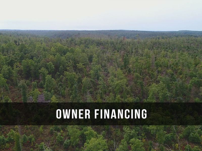 Alabama Owner Financed Land for Sale - LandSearch