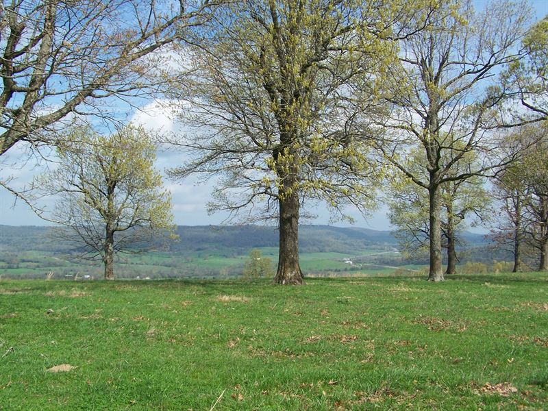 Prime Hunting Land, Pasture, Farm for Sale in Arkansas, 236693 FARMFLIP