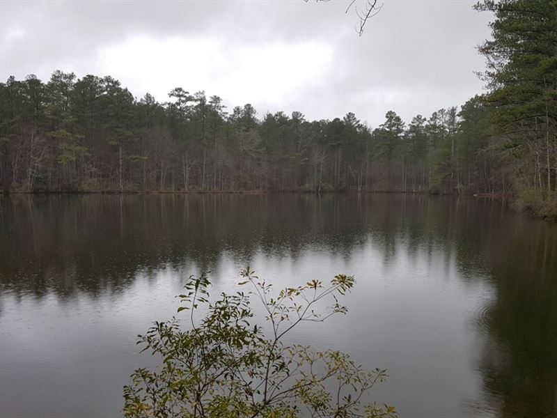 Great Timber Tract with Lake, Farm for Sale in 236818 FARMFLIP
