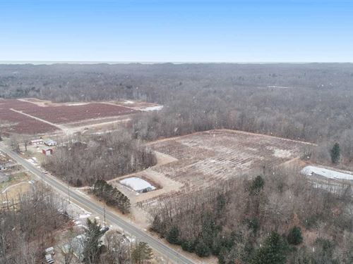 Michigan Blueberry Farms For Sale Blueberry Farmland For Sale Farmflip