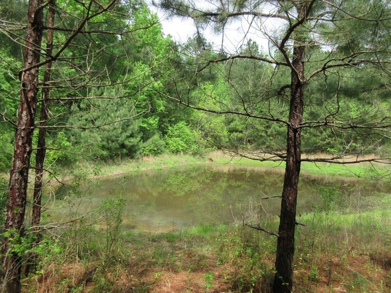 Rural Acreage with Pond East TX, Farm for Sale in Texas, 236904 FARMFLIP