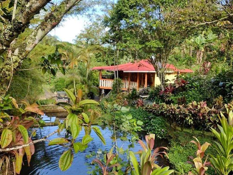 Price Reduced, Trout Farm, Cabins : Cachi : Costa Rica