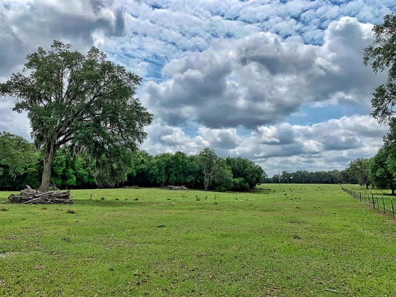 30 Acres, Levy County, Trenton Farm for Sale in Trenton, Levy County