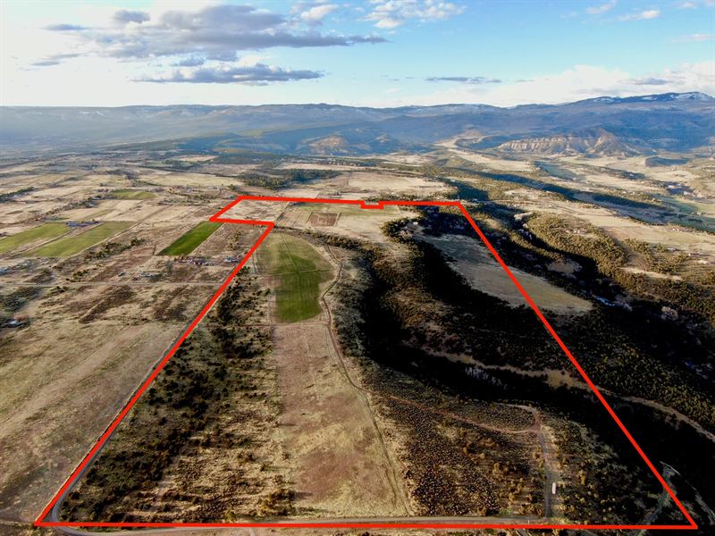 Colorado Ranch Irrigated Hay Farm for Sale in Cedaredge, Delta County, Colorado 237448