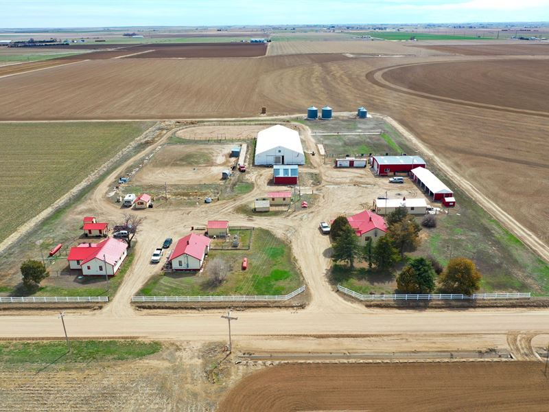 Keenesburg Equestrian, Farm for Sale in Colorado, 237691 FARMFLIP