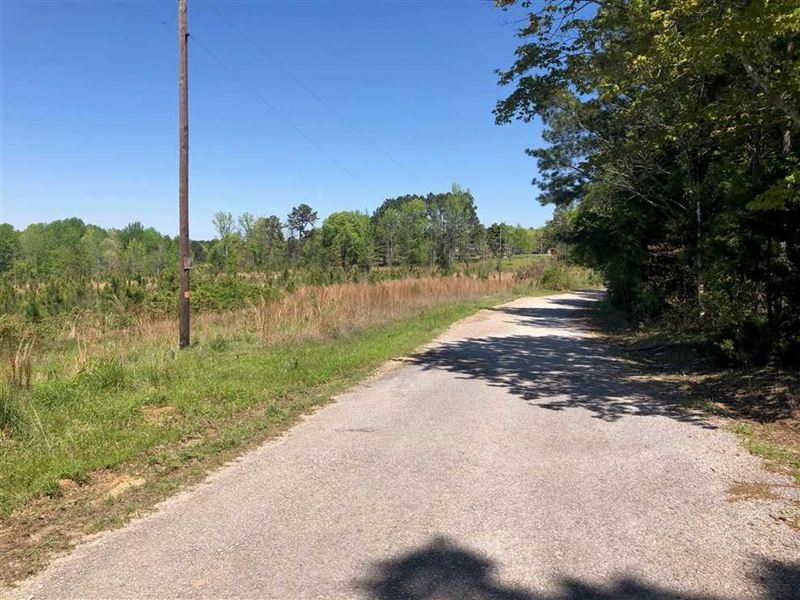 34 Acres Land for Sale County Road : Rienzi : Prentiss County : Mississippi