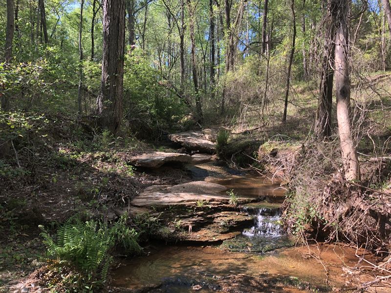 Anderson Recreational Land Farm for Sale in Anderson, Anderson County, South Carolina