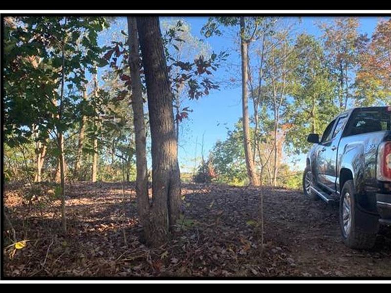 Coon Hollow Tract 5, Farm for Sale in Ohio, 237798 FARMFLIP