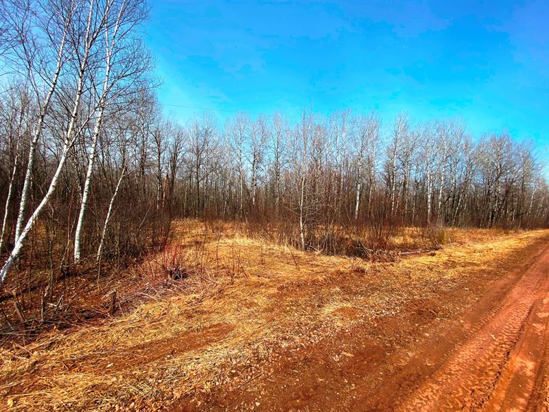 Wooded Acreage Northern Minnesota : Hinckley : Pine County : Minnesota