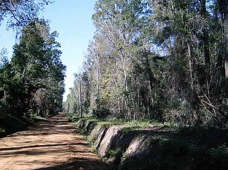 Davis Estate : Monticello : Jefferson County : Florida