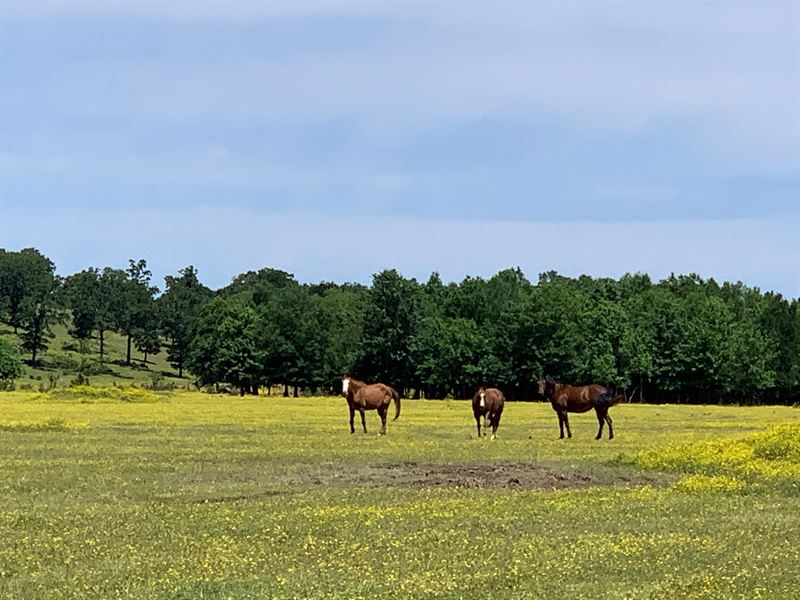 418 Acre Working Ranch Custom Built, Farm for Sale in Oklahoma, 237887