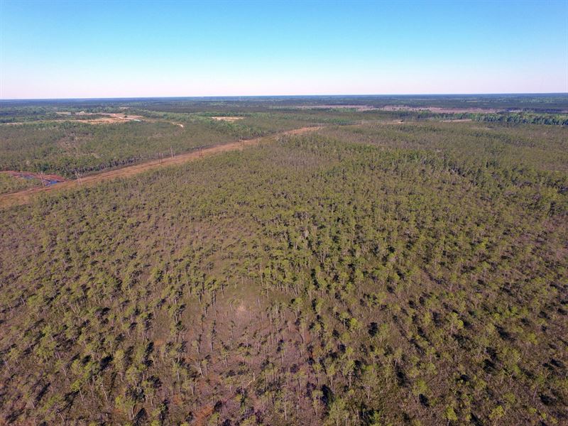 Brunswick County NC Acreage Farm for Sale in Bolivia, Brunswick