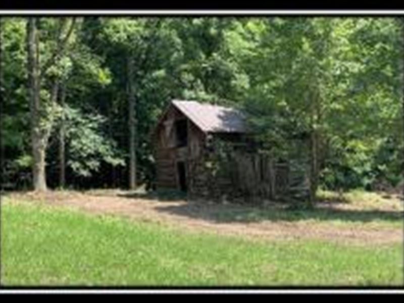 Coon Hollow Tract 8, Farm for Sale in Ohio, 238001 FARMFLIP