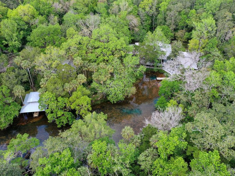 Chassahowitzka Springs Riverfront, Farm for Sale in Florida, 238008