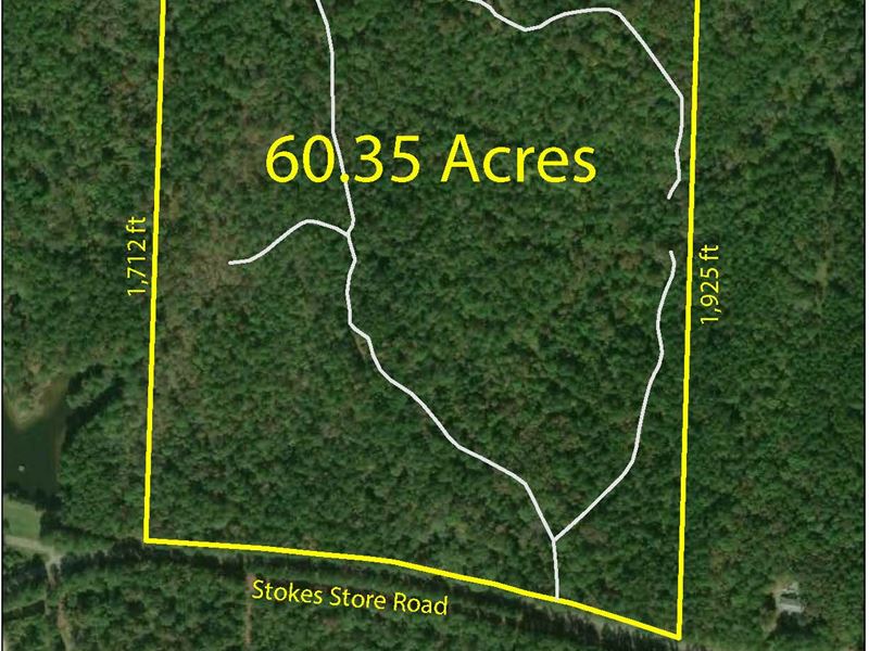 Great 60 Acre Getaway : Forsyth : Monroe County : Georgia