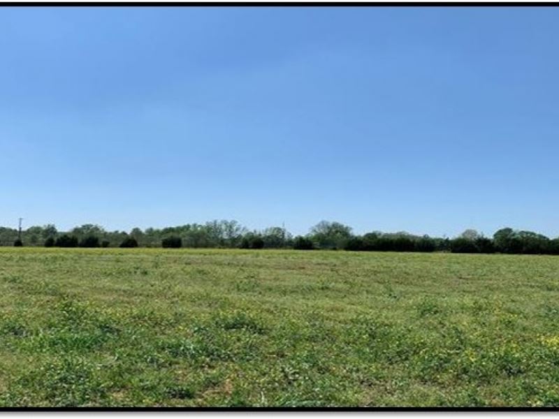 7 b Acres in Madison County in Gl : Gluckstadt : Madison County : Mississippi
