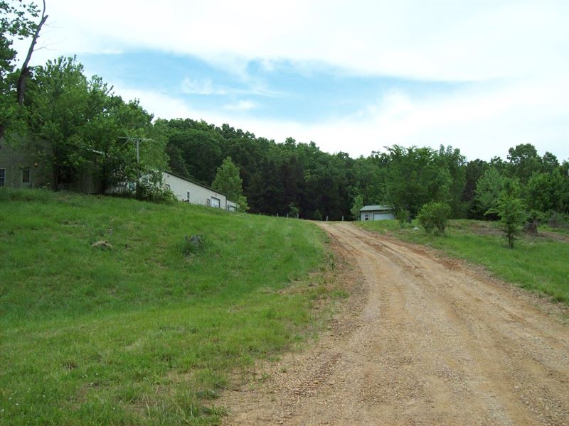 20 Acres With Hwy 34 Frontage Farm for Sale in Piedmont, Wayne County