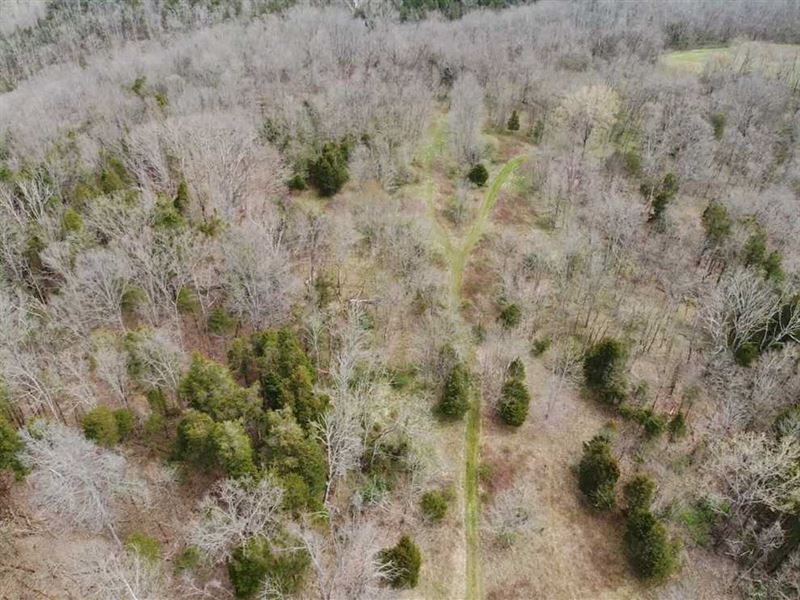 100 Acres, Land for Sale, Jeffer : Madison : Jefferson County : Indiana