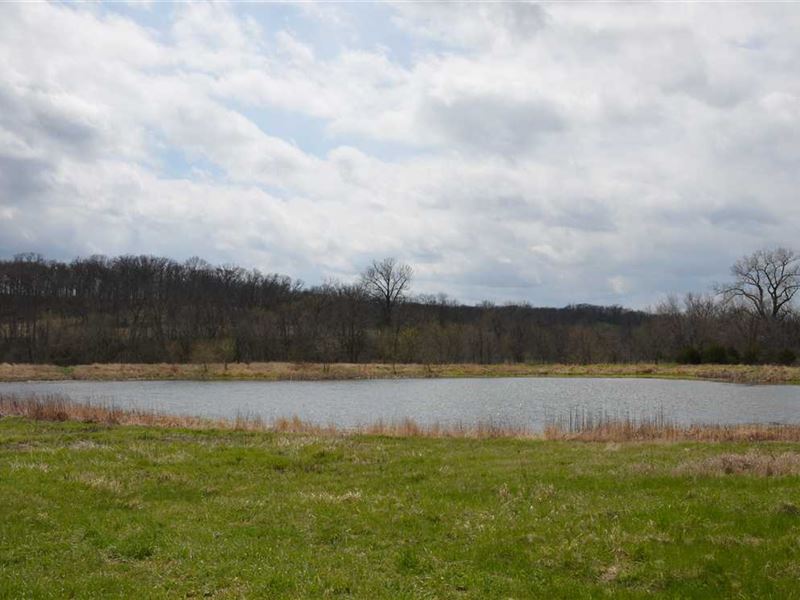 28 M/L Acres in Lucas County Iowa, Farm for Sale in Iowa, 238172