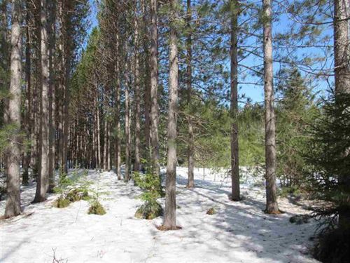 383 Ac Wooded Rec Property : Village Of Helps : Menominee County : Michigan
