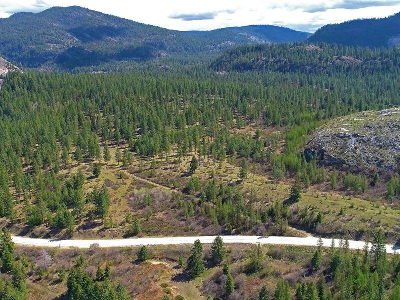 Recreational Hunting Property, Farm for Sale in Washington, 238266