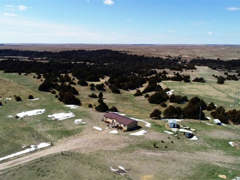 Long Pine Acreage And Wildlife Farm for Sale in Long Pine, Brown County, Nebraska 238422