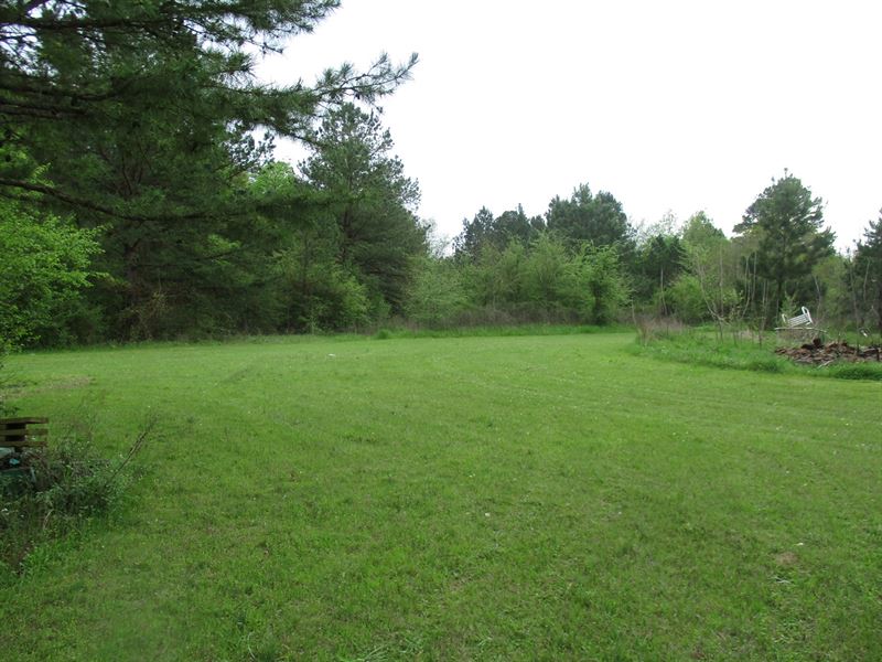 East Texas Timber Tract for Sale, Farm for Sale in Texas, 238474 FARMFLIP