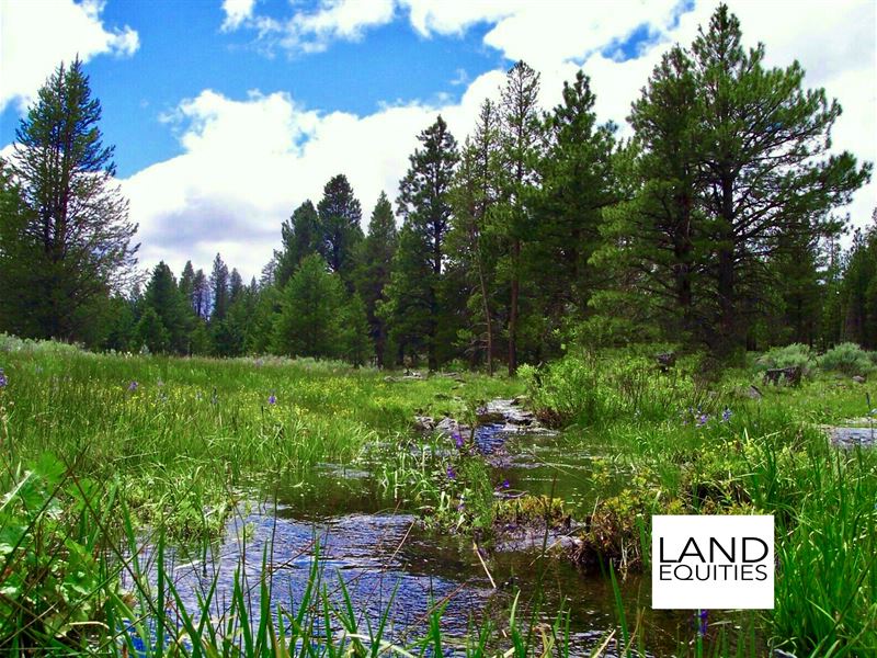 Off Grid Homestead & Seasonal Creek : Bly : Klamath County : Oregon