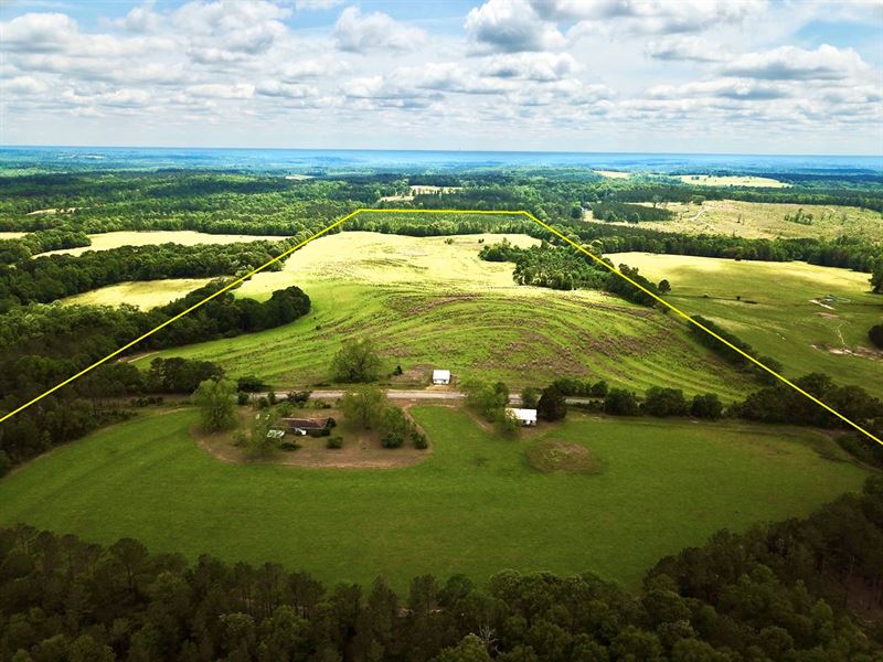 Farm Barbour County Alabama : Clio : Barbour County : Alabama